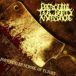 John Denver School of Flight